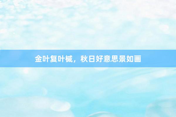 金叶复叶槭，秋日好意思景如画