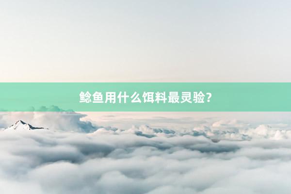 鲶鱼用什么饵料最灵验？